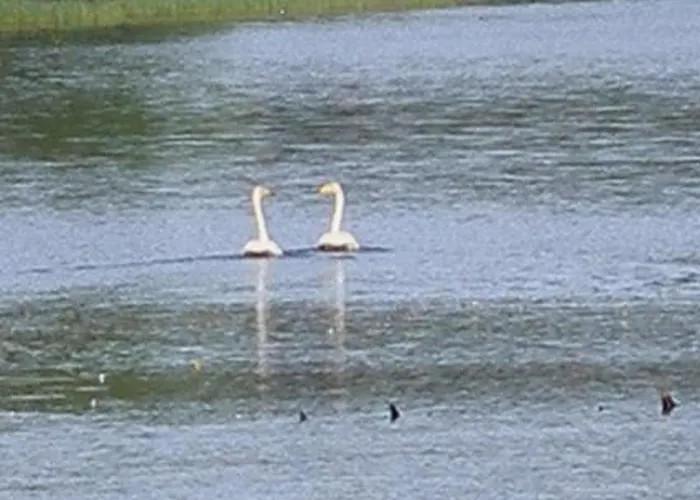 別荘 Rantamaja By Interhome *